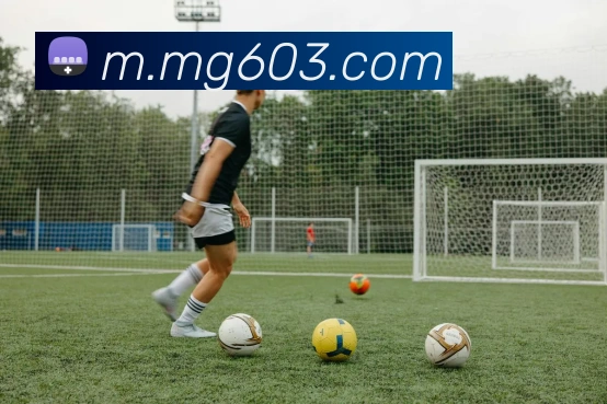 MG娱乐平台官网APP 高清赛事图